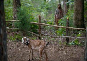 the-walking-dead-episode-604-Tabitha-935