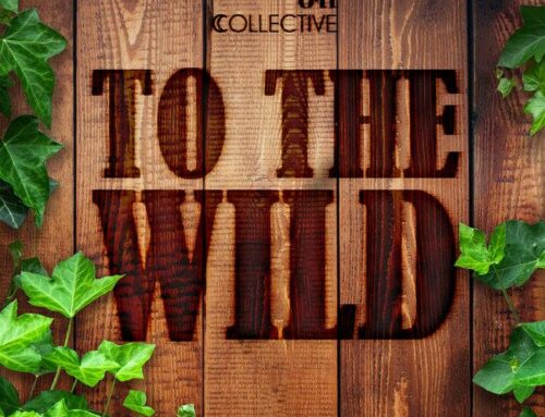 Shine On Invites You TO THE WILD