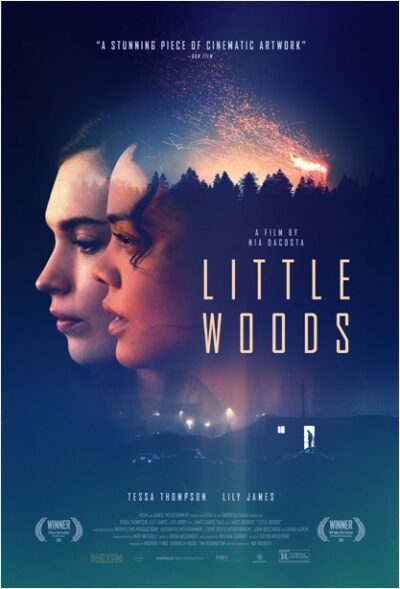 Little Woods by Nia DaCosta - movie poster