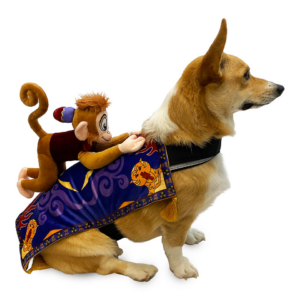 Disney Abu Pet Costume