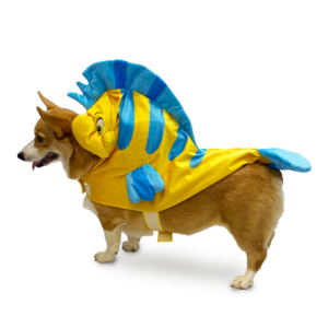 Flounder Pet Costume