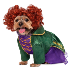 Winnifred Pet Costume