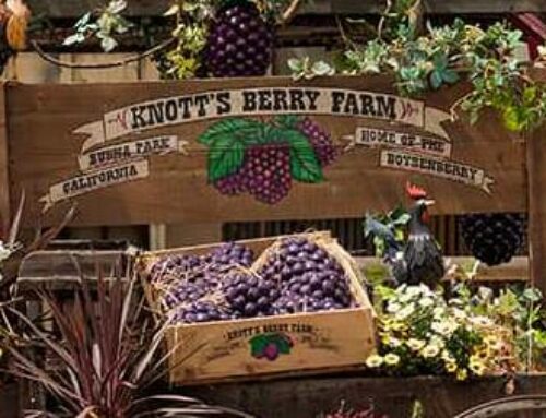 Knott’s Boysenberry Festival Returns