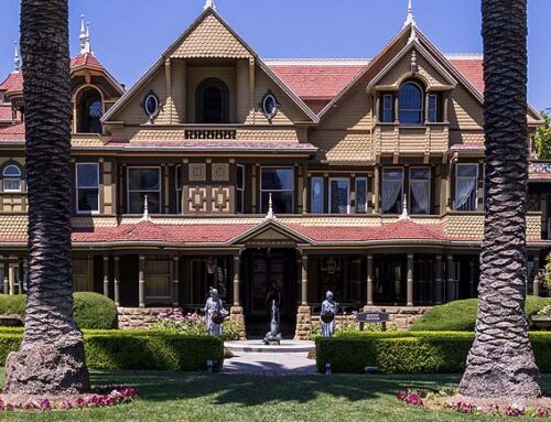 Patti Negri to Announce Super Bowl LX Prediction at Winchester Mystery House